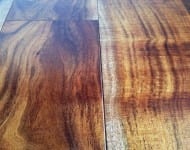 Engineered Smooth Acacia Premium Grade On Sale $3.49 color: Natural 1/2″ x 5″